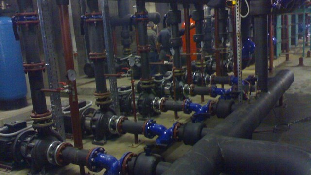 Moscow Egoplast Zoa